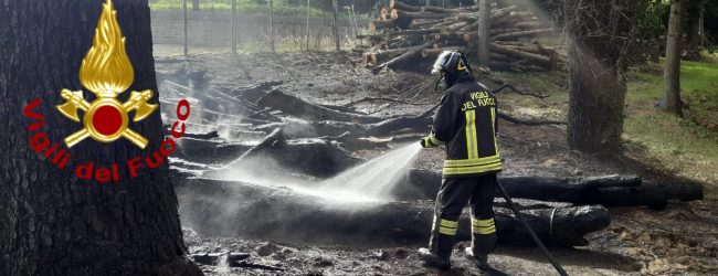 Irpinia| Alte temperature e rischio incendi, vigili del fuoco impegnati a Forino e Manocalzati