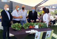 Benevento|Disability Friendly, una merenda insieme con ‘la legalita’