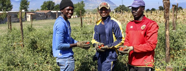 Benevento| Sale della Terra contro il caporalato