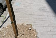 Pd: piantumazione alberi, Amministrazione distratta ed “indecorosa”