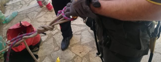 Tufo| Gatto cade in un cunicolo di 10 metri, salvato dai vigili del fuoco e adottato da una signora