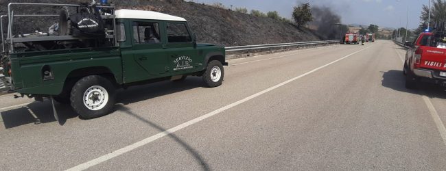 Intervento dell’anticendio boschivo in localita’ San Giovanni di Apollosa
