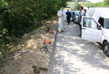 Benevento| Manutenzione del verde pubblico, interventi in città da parte del Servizio Forestazione della Provincia