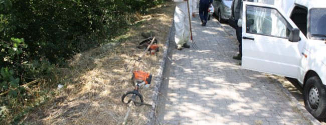 Benevento| Manutenzione del verde pubblico, interventi in città da parte del Servizio Forestazione della Provincia