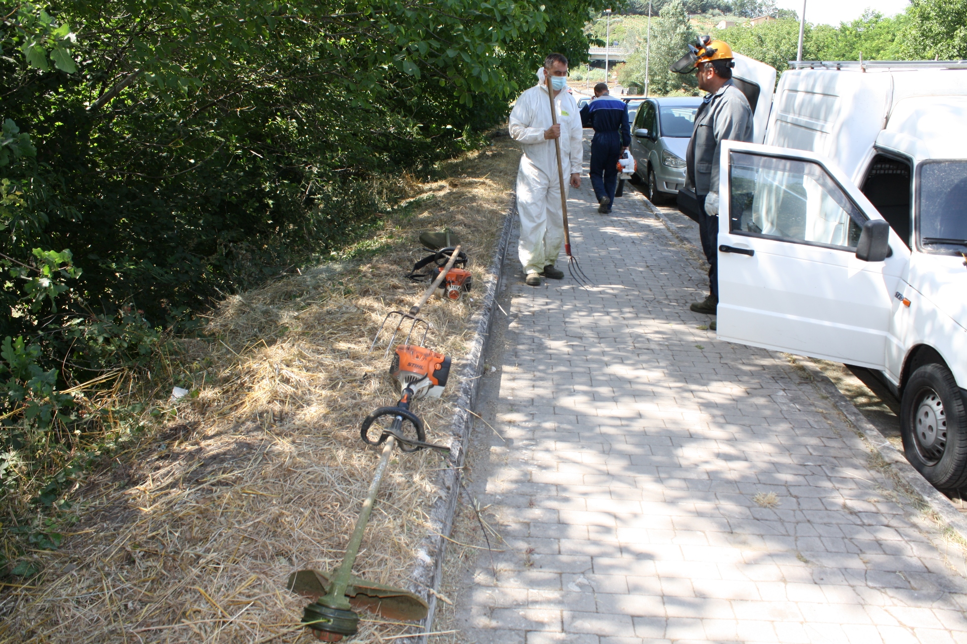 Benevento| Manutenzione del verde pubblico, interventi in città da parte del Servizio Forestazione della Provincia
