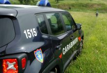 S.Agata de’ Goti| CC Forestali sequestrano allevamento abusivo
