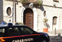 Compra il cane online ma scatta la truffa: i Carabinieri di Bisaccia denunciano due persone