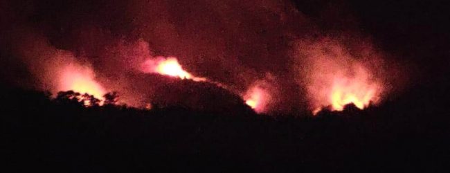 Incendi nel Sannio, continua l’emergenza