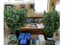 Coltivazione e detenzione al fine di spaccio di sostanze stupefacenti, ai domiciliari 53enne di Cusano Mutri