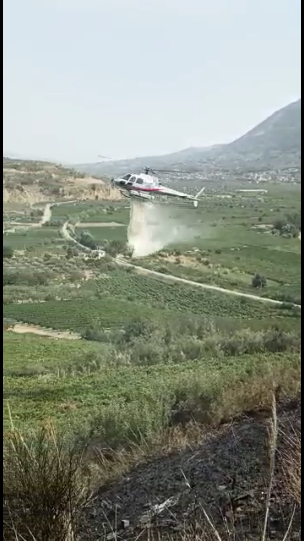 Incendi nel Sannio, bruciano uliveti e boschi a San Lorenzo Maggiore e Durazzano