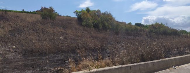 L’Irpinia nella morsa degli incendi, il punto con Claudia Campobasso del Genio Civile