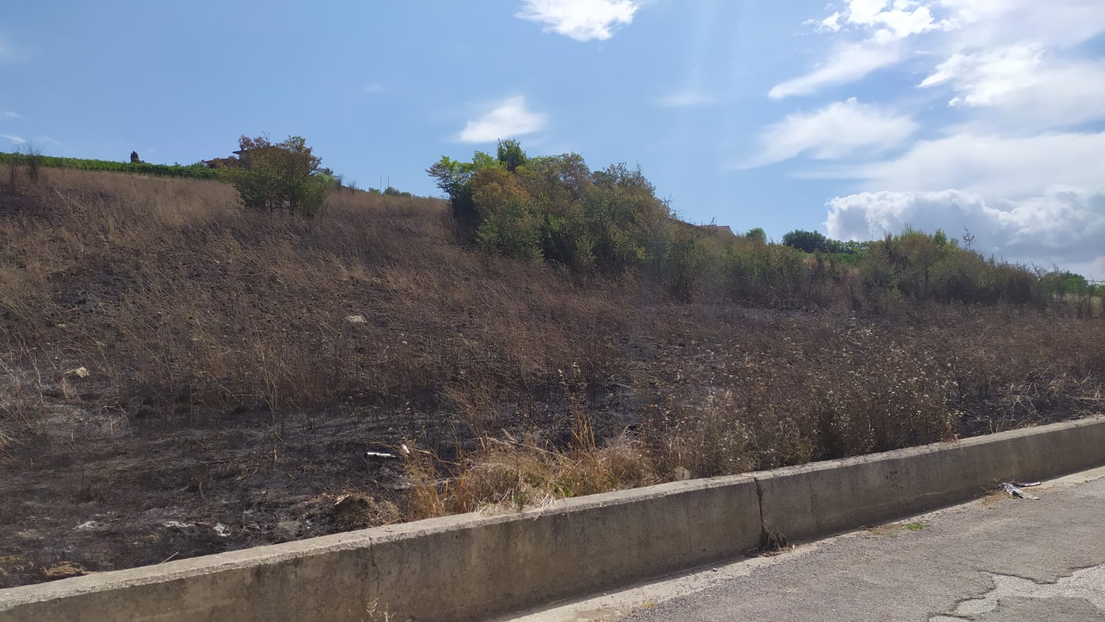 L’Irpinia nella morsa degli incendi, il punto con Claudia Campobasso del Genio Civile