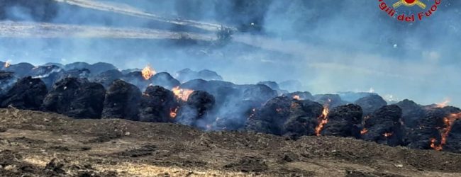 Incendi in Irpinia, circa 50 interventi dei vigili del fuoco