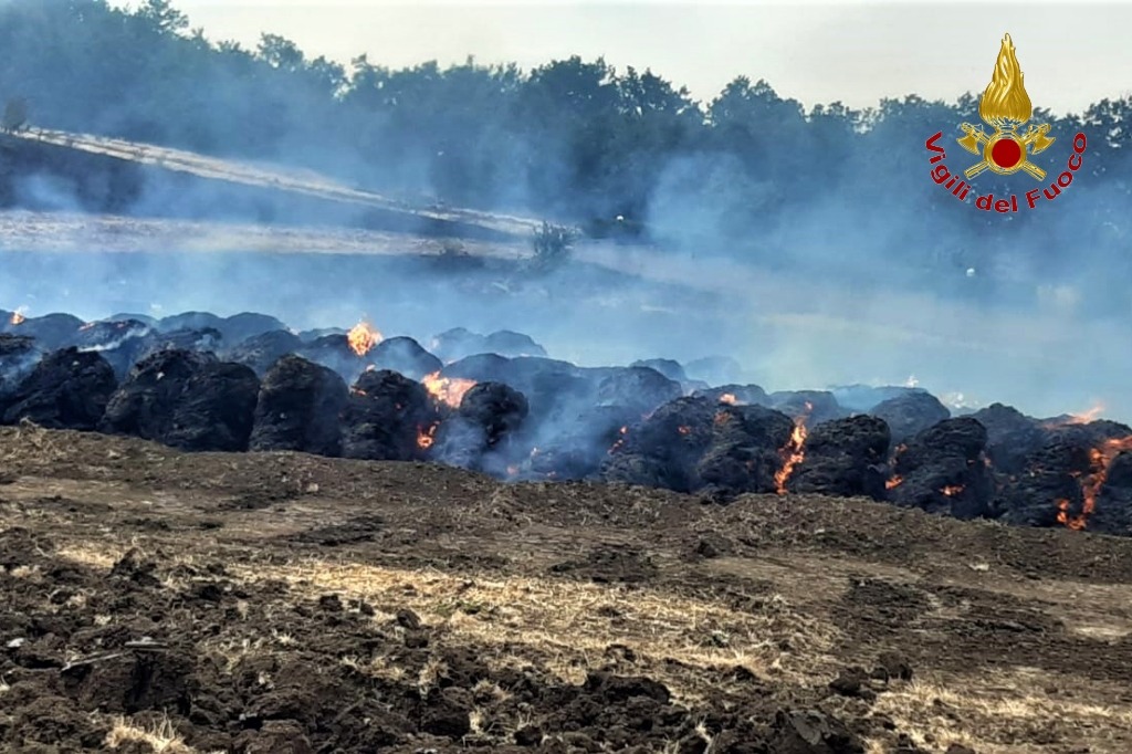 Incendi in Irpinia, circa 50 interventi dei vigili del fuoco