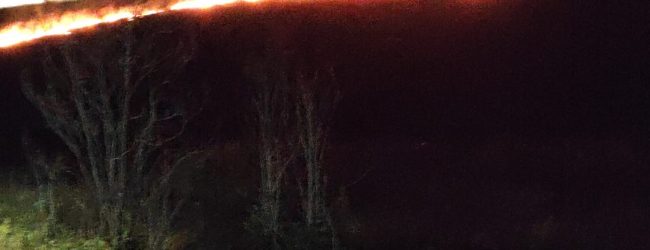 Incendio a Capodimonte, la denuncia: ‘sono anni che nessuno interviene’