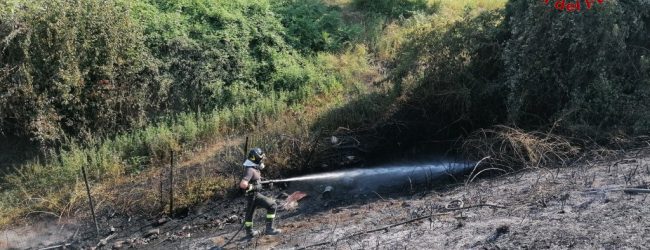 Irpinia in fiamme, decine di incendi: super lavoro per i vigili del fuoco