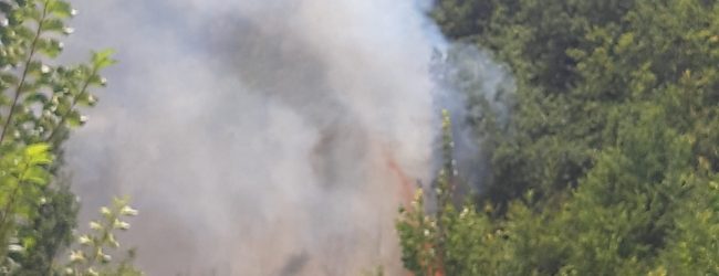 Incendi estivi, bilancio della Provincia di Benevento: nel mese di Luglio 38 interventi
