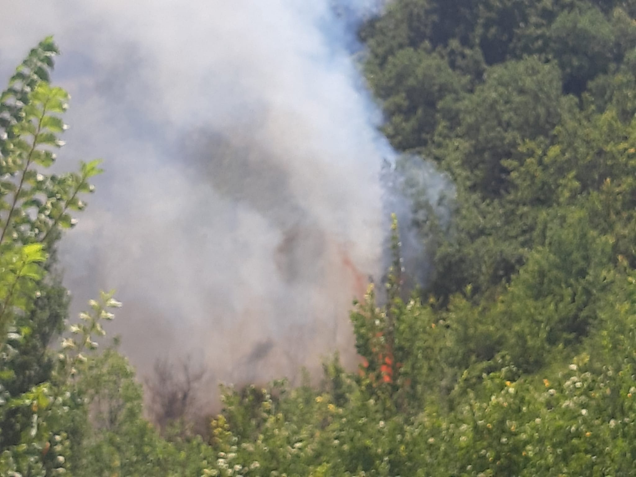 Incendi estivi, bilancio della Provincia di Benevento: nel mese di Luglio 38 interventi