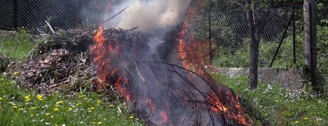Benevento| Incendi boschivi, Bosco (Municipale): “Osservare le ordinanze, rischio multa”