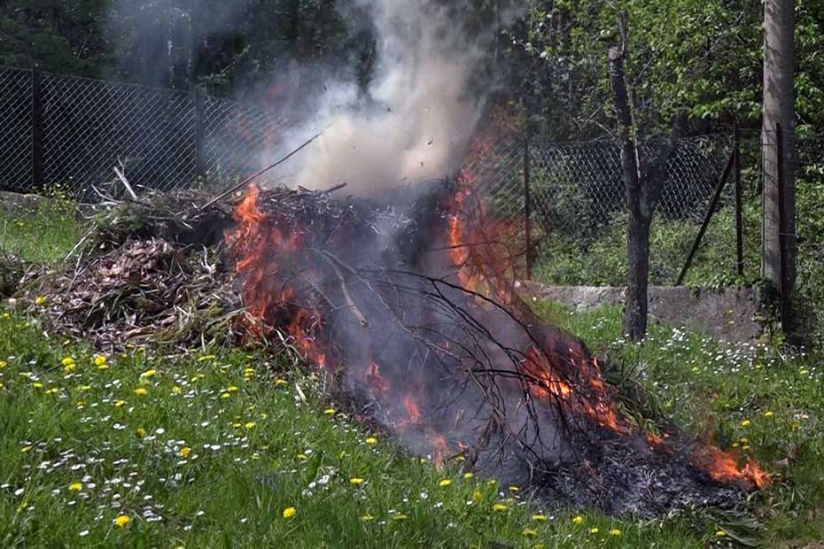 Benevento| Incendi boschivi, Bosco (Municipale): “Osservare le ordinanze, rischio multa”