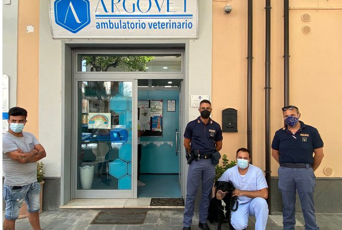 Telesina|Labrador ha crisi epilettica, salvato dalla Polizia