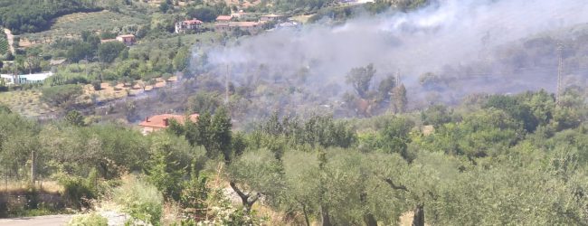 Emergenza incendi nel Sannio: da fine giugno oltre 200 interventi