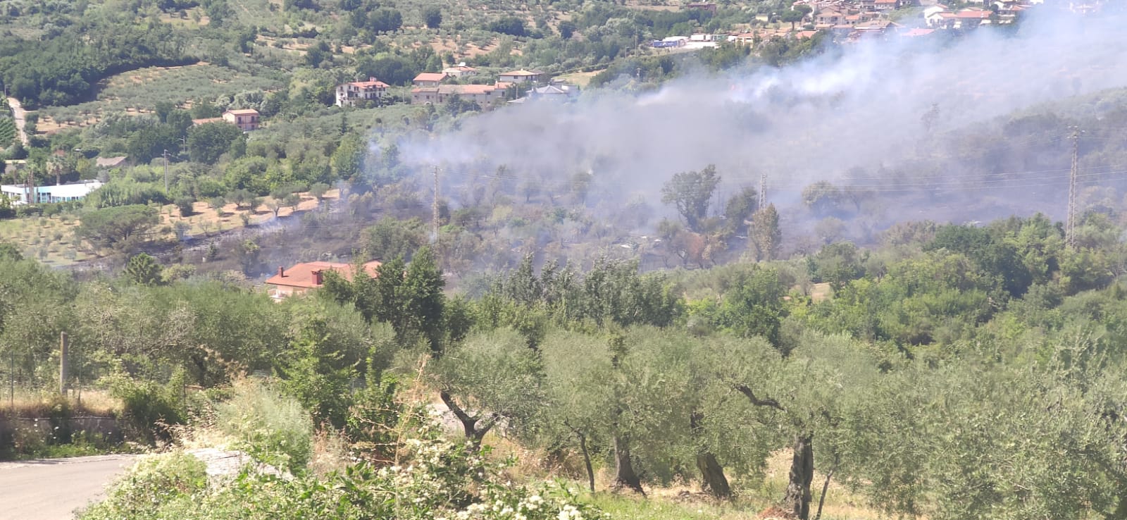 Emergenza incendi nel Sannio: da fine giugno oltre 200 interventi