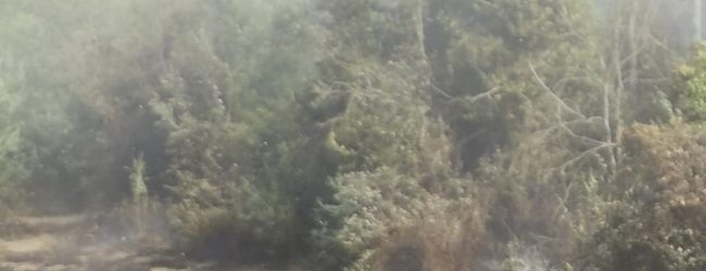 Il Sannio flagellato dagli incendi: resta grave l’uomo ustionato a Ceppaloni