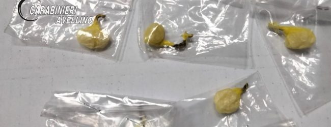 Cocaina e marijuana, arrestato 25enne di Mugnano e denunciato 20enne di Montemiletto