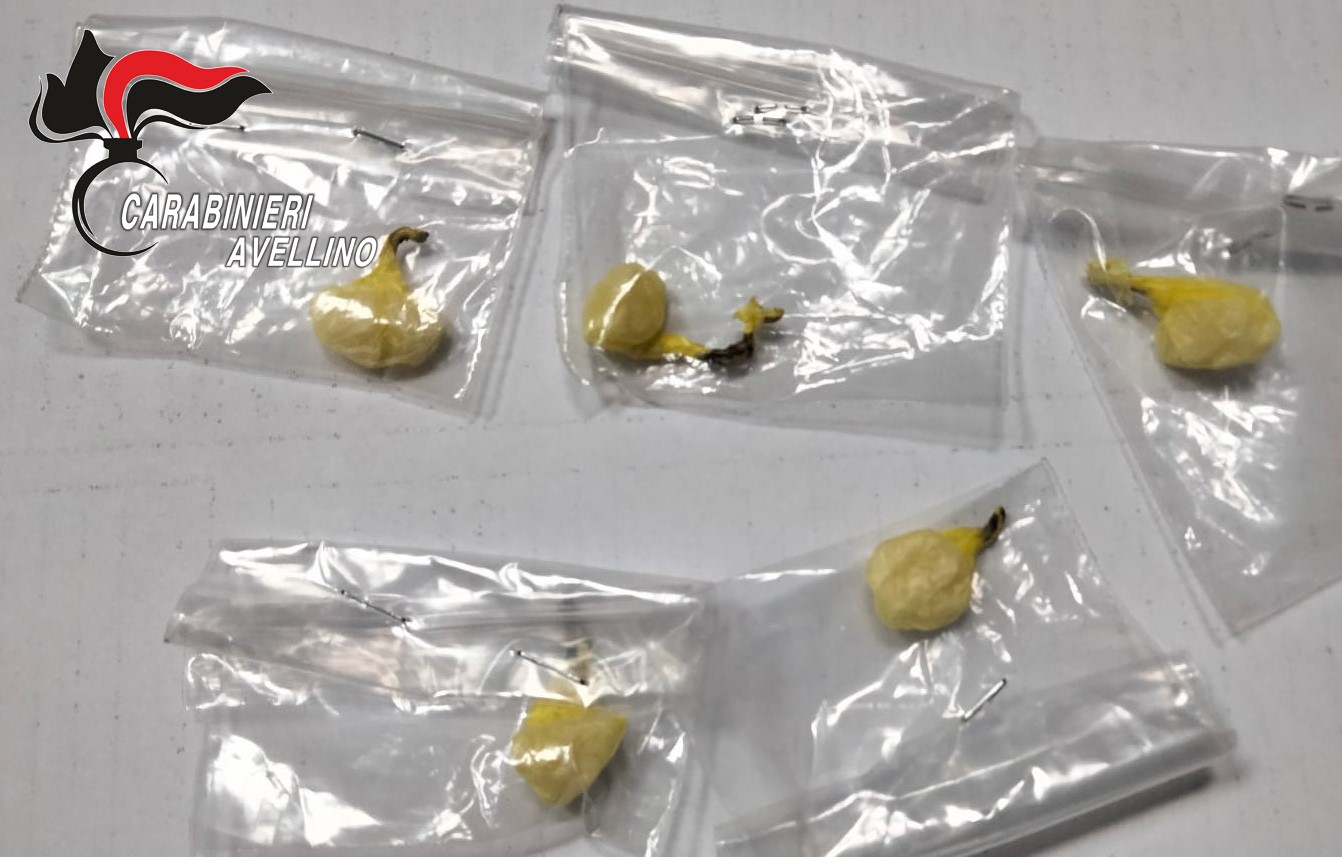 Cocaina e marijuana, arrestato 25enne di Mugnano e denunciato 20enne di Montemiletto