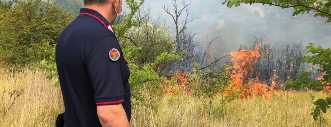 Incendi dolosi: i Carabinieri arrestano allevatore di Montesarchio