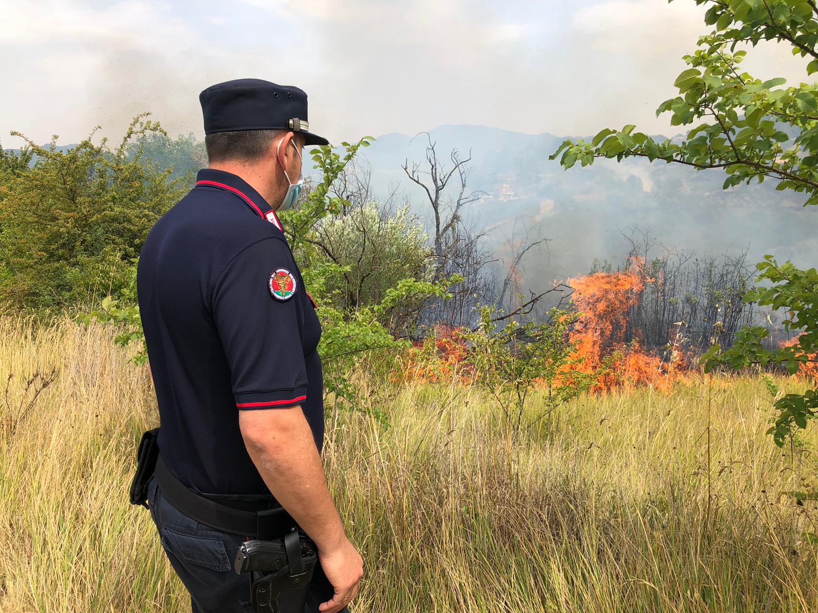 Incendi dolosi: i Carabinieri arrestano allevatore di Montesarchio