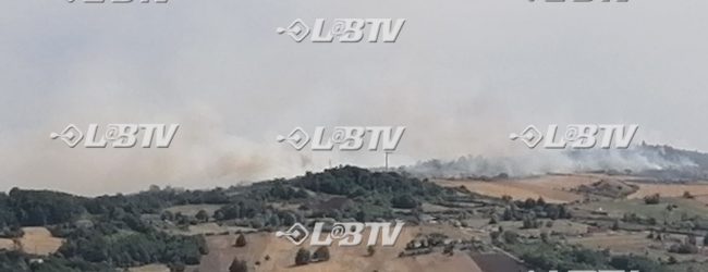 Circello, a fuoco la collina della Croce