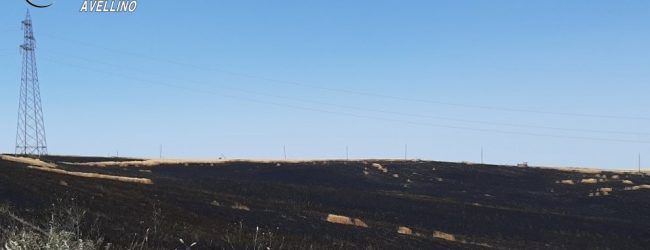 Bisaccia| Campo di grano incendiato, denunciato un 30enne incastrato dalle immagini e dal gps
