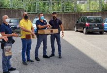 Telese| Custodivano cardellini per poi rivenderli sul mercato nero, denunciate due napoletani