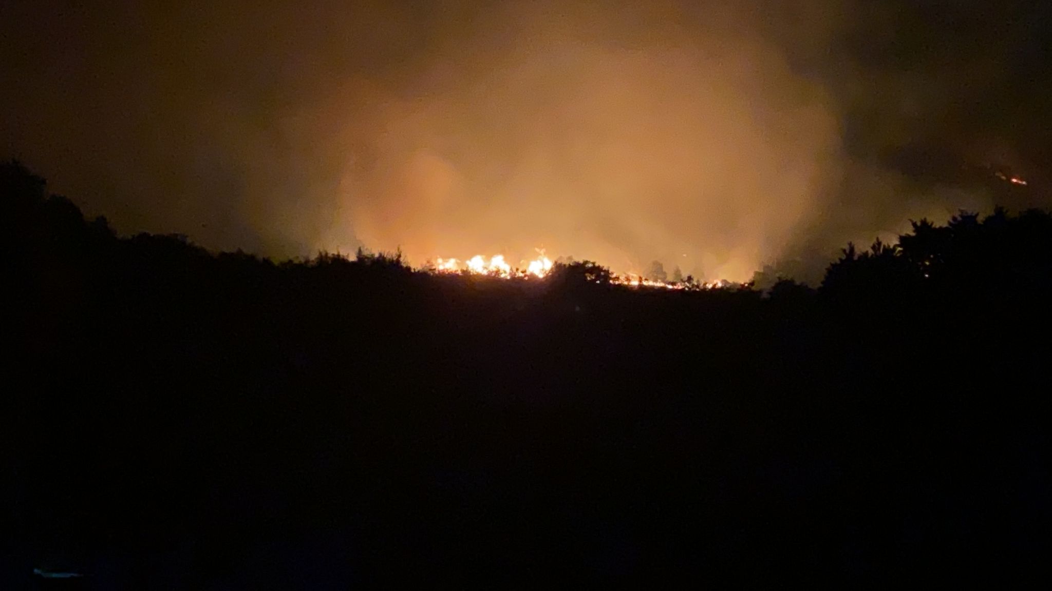 Ancora incendi, flagellato dalle fiamme il bosco “Pietra Piana” a Sant’Agata De Goti