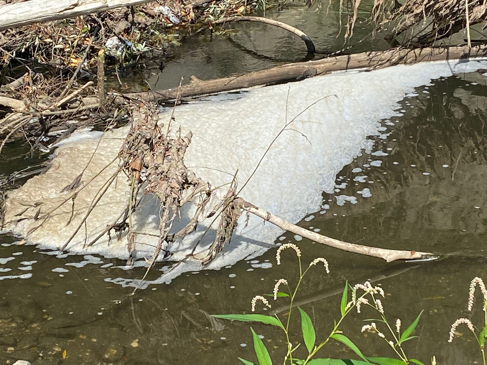 Tufo| Ancora schiuma nel fiume Sabato, immagini e segnalazioni
