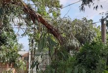 Dopo la tempesta del 17 settembre: interventi di emergenza del servizio Forestazione della Provincia di Benevento