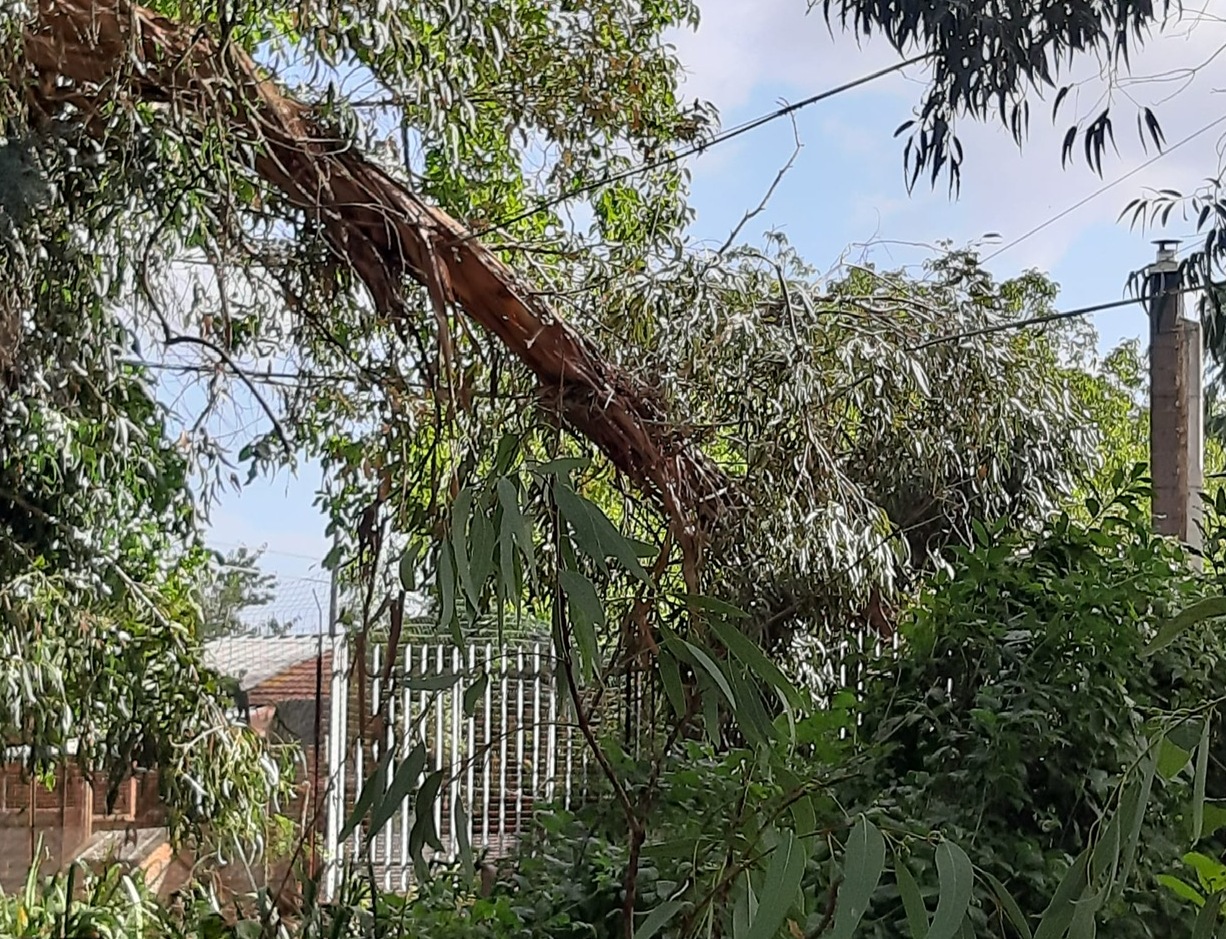 Dopo la tempesta del 17 settembre: interventi di emergenza del servizio Forestazione della Provincia di Benevento