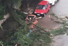 Violento nubifragio nel Sannio: alberi caduti e allagamenti