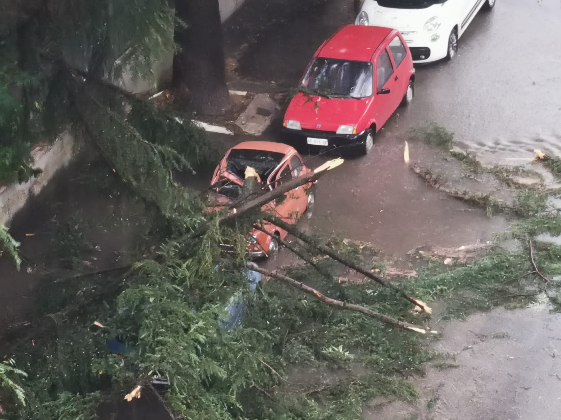 Violento nubifragio nel Sannio: alberi caduti e allagamenti