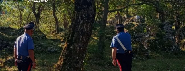 Volturara Irpina| Coppia di escursionisti si perde in montagna, ritrovati dai carabinieri