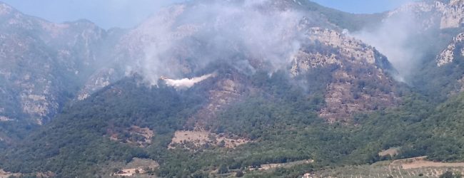 Avellino| Roghi agricoli, nuova ordinanza del sindaco: divieto assoluto fino al 30 giugno 2024