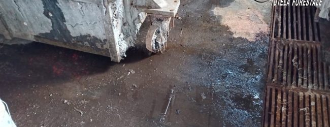 Solofra| Inquinamento ambientale, sequestrata conceria e denunciato il proprietario