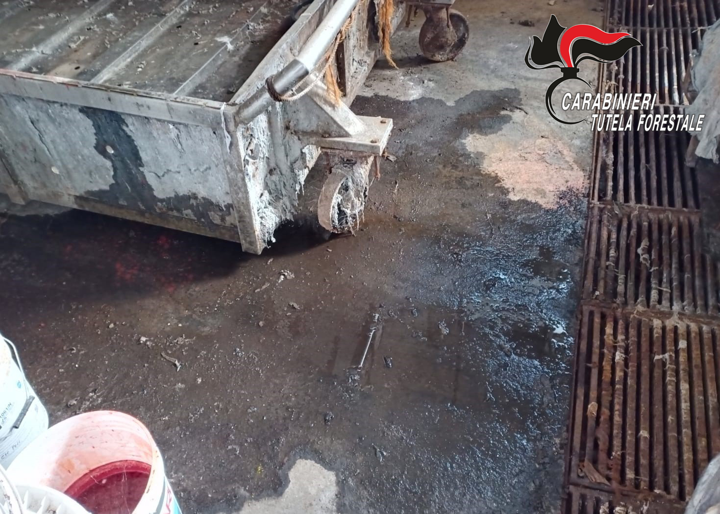 Solofra| Inquinamento ambientale, sequestrata conceria e denunciato il proprietario