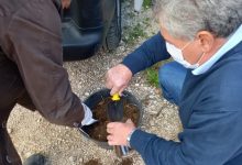 Incendio Airola, al via il campionamento dei terreni