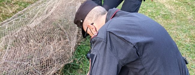 Paolisi, maltrattamento di animali e uccellagione: denunciato 72enne partenopeo