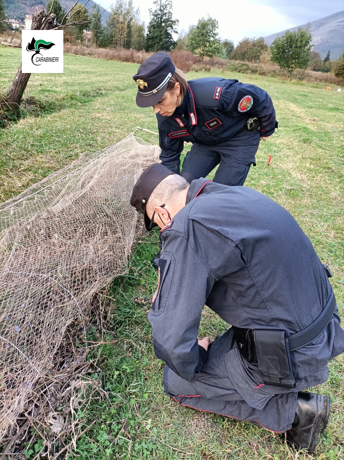 Paolisi, maltrattamento di animali e uccellagione: denunciato 72enne partenopeo