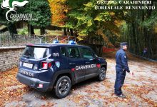 Taglio legna di faggio, arresti e denunce a Cusano Mutri