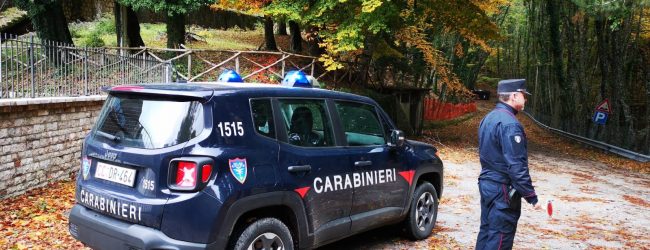 Taglio legna di faggio, arresti e denunce a Cusano Mutri